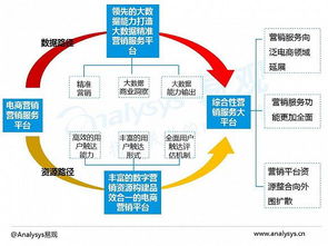2016中國電商數字營銷市場專題報告 數字技術服務的崛起與變革